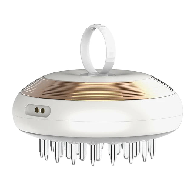 EMS Microcurrent Electric Head Brush