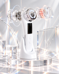 4-1 EMS Multifunctional Facial Massager